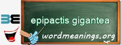 WordMeaning blackboard for epipactis gigantea